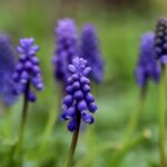 kin227 青い手 白い風 音6|手のかかるもの、面倒なものに挑戦してみる日