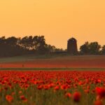 kin233 赤い空歩く人 白い風 音12｜自分にとって心地よい空間づくりを目指してみる日