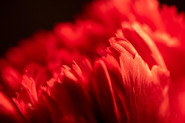 kin25 赤い蛇 白い魔法使い 音12|納得したことに正直にありのままに生きてみる日