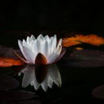 kin2 白い風 赤い龍 音2|共感を意識し、相手の存在をしっかり認めてみる日