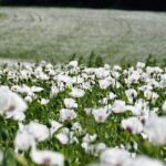 kin18 白い鏡 白い魔法使い 音5｜思っていることを書き出して優先順位をつけてみる日