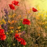 kin73 赤い空歩く人 白い世界の橋渡し 音8|相手の意見にもしっかり耳を傾けて聞いてみる日