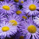 kin79 青い嵐 青い嵐 音1｜自分の成長のために今の現状を全て受け入れる日