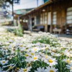 kin94 白い魔法使い 黄色い人 音3｜自分らしく、自然体で陰徳積善を意識する日