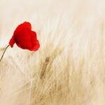 kin93 赤い空歩く人 黄色い人 音2｜インスプレーションに従って勇気を出して一歩を踏み出す日