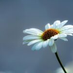 kin118 白い鏡 白い鏡 音1|自分の枠をいかに広げるかが問われる日