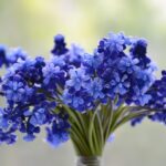 kin135 青い鷲 青い猿 音5｜テーマを定めてそこに向かってスピードアップで飛ぶ日