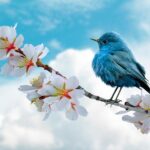 kin55 青い鷲 赤い空歩く人 音3｜心を良い状態に保ちながら、一つに絞って極めてみる日