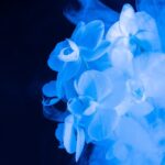 kin43 青い夜 黄色い太陽 音4|わたしにしかできないことを考えてみよう